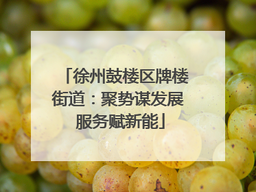 徐州鼓楼区牌楼街道：聚势谋发展 服务赋新能