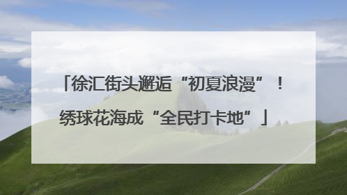 徐汇街头邂逅“初夏浪漫”！绣球花海成“全民打卡地”