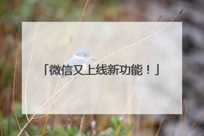 微信又上线新功能！