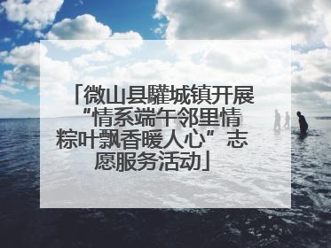 微山县驩城镇开展“情系端午邻里情 粽叶飘香暖人心”志愿服务活动