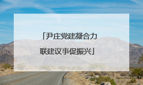 尹庄党建凝合力 联建议事促振兴