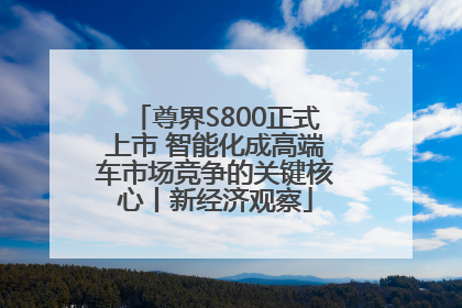 尊界S800正式上市 智能化成高端车市场竞争的关键核心丨新经济观察