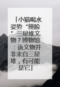 小猫喝水姿势“撞脸”三星堆文物？博物馆：该文物并非来自三星堆，有可能是它