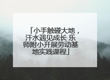 小手触碰大地，汗水遇见成长 乐师附小开展劳动基地实践课程