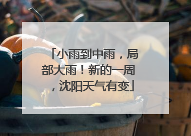小雨到中雨，局部大雨！新的一周，沈阳天气有变