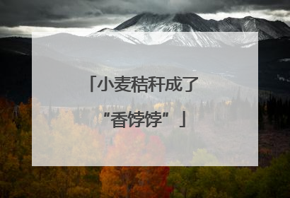 小麦秸秆成了“香饽饽”