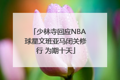 少林寺回应NBA球星文班亚马闭关修行 为期十天