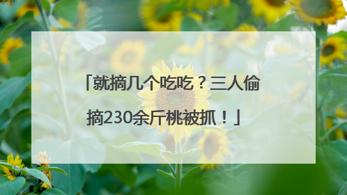 就摘几个吃吃？三人偷摘230余斤桃被抓！