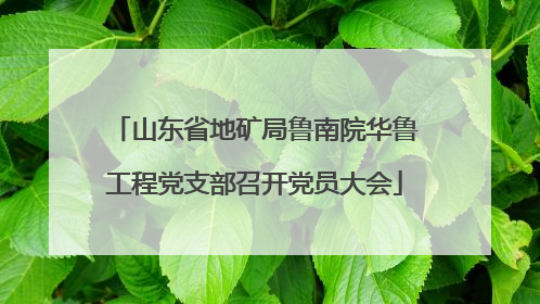 山东省地矿局鲁南院华鲁工程党支部召开党员大会