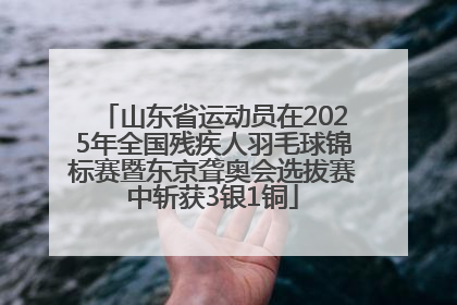 山东省运动员在2025年全国残疾人羽毛球锦标赛暨东京聋奥会选拔赛中斩获3银1铜