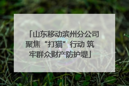 山东移动滨州分公司聚焦“打猫”行动 筑牢群众财产防护堤