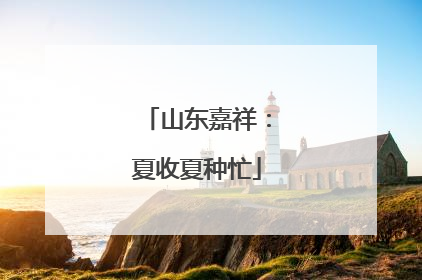 山东嘉祥：夏收夏种忙