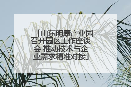 山东明康产业园召开园区工作座谈会 推动技术与企业需求精准对接