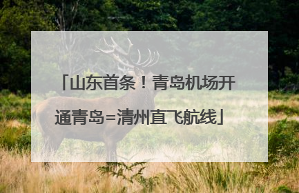 山东首条！青岛机场开通青岛=清州直飞航线