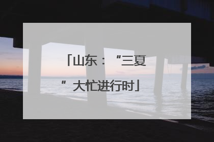 山东：“三夏”大忙进行时