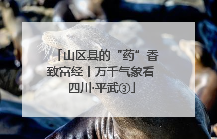 山区县的“药”香致富经丨万千气象看四川·平武③