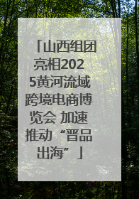 山西组团亮相2025黄河流域跨境电商博览会 加速推动“晋品出海”