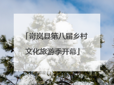 岢岚县第八届乡村文化旅游季开幕