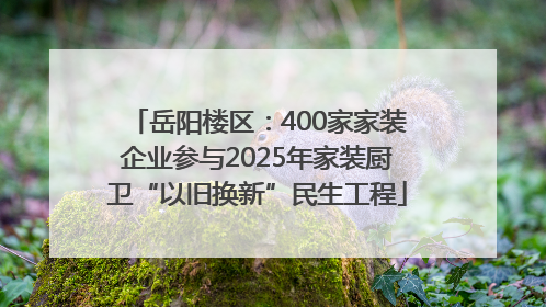 岳阳楼区：400家家装企业参与2025年家装厨卫“以旧换新”民生工程