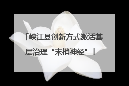 峡江县创新方式激活基层治理“末梢神经”