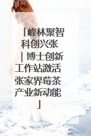 峰林聚智 科创兴张｜博士创新工作站激活张家界莓茶产业新动能