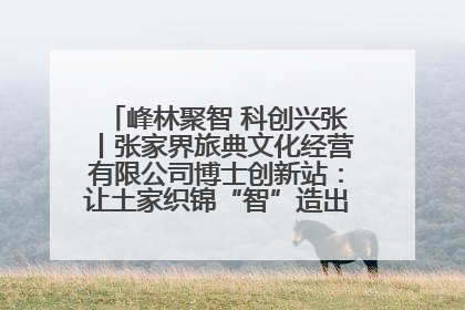峰林聚智 科创兴张丨张家界旅典文化经营有限公司博士创新站：让土家织锦“智”造出非遗新传奇