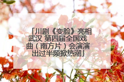 川剧《变脸》亮相武汉 第四届全国戏曲（南方片）会演演出过半频掀热潮