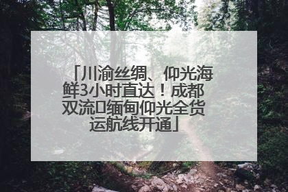 川渝丝绸、仰光海鲜3小时直达！成都双流⇌缅甸仰光全货运航线开通