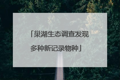 巢湖生态调查发现多种新记录物种