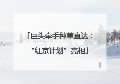 巨头牵手种草直达：“红京计划”亮相