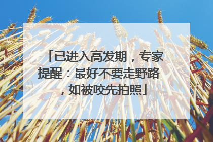 已进入高发期，专家提醒：最好不要走野路，如被咬先拍照