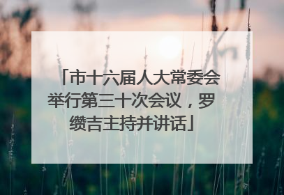 市十六届人大常委会举行第三十次会议，罗缵吉主持并讲话