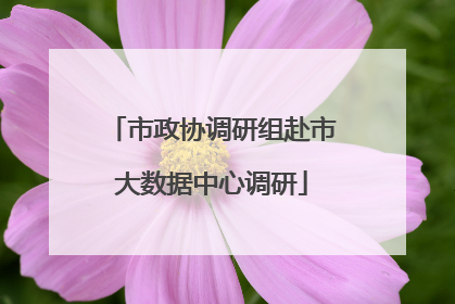 市政协调研组赴市大数据中心调研
