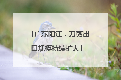 广东阳江：刀剪出口规模持续扩大