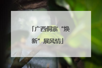 广西侗寨“焕新”展风情