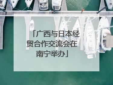 广西与日本经贸合作交流会在南宁举办