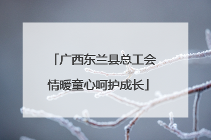 广西东兰县总工会情暖童心呵护成长