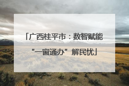 广西桂平市：数智赋能“一窗通办”解民忧