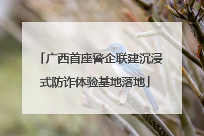 广西首座警企联建沉浸式防诈体验基地落地