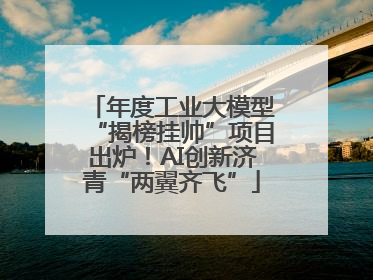年度工业大模型“揭榜挂帅”项目出炉！AI创新济青“两翼齐飞”