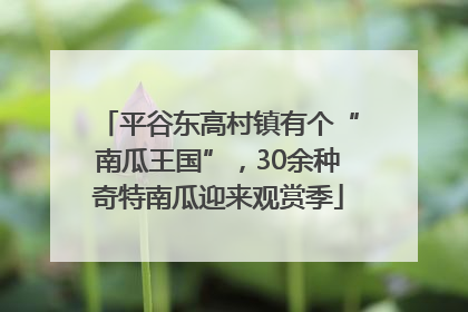 平谷东高村镇有个“南瓜王国”，30余种奇特南瓜迎来观赏季