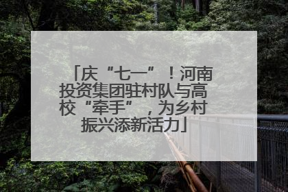 庆“七一”！河南投资集团驻村队与高校“牵手”，为乡村振兴添新活力