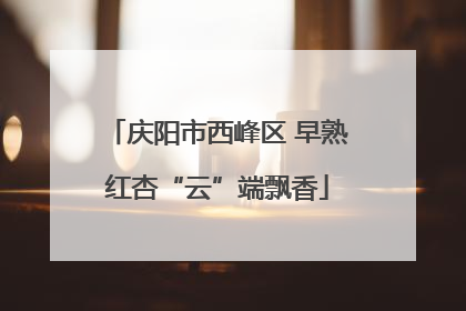 庆阳市西峰区 早熟红杏“云”端飘香