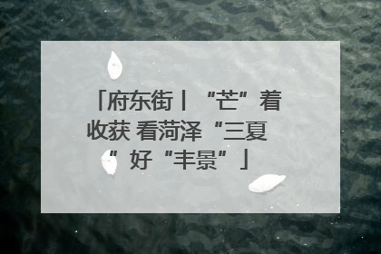 府东街丨“芒”着收获 看菏泽“三夏”好“丰景”