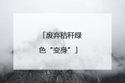 废弃秸秆绿色“变身”