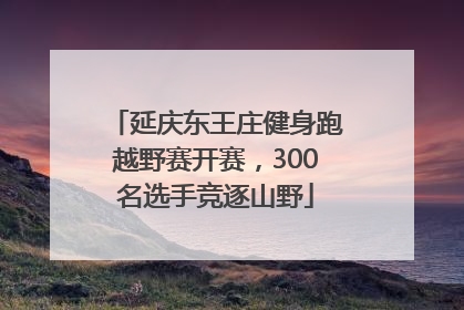 延庆东王庄健身跑越野赛开赛，300名选手竞逐山野