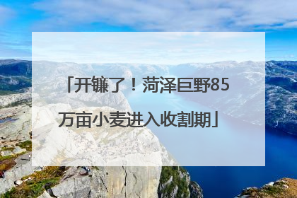 开镰了！菏泽巨野85万亩小麦进入收割期