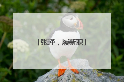 张瑾，履新职