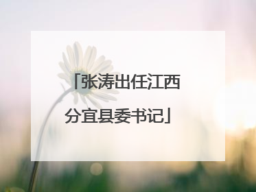 张涛出任江西分宜县委书记