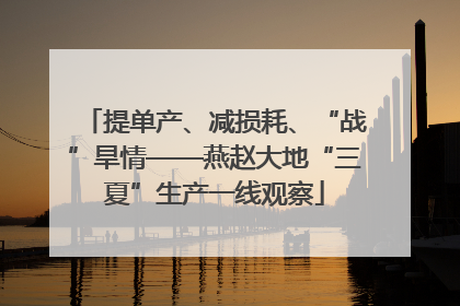 提单产、减损耗、“战”旱情——燕赵大地“三夏”生产一线观察